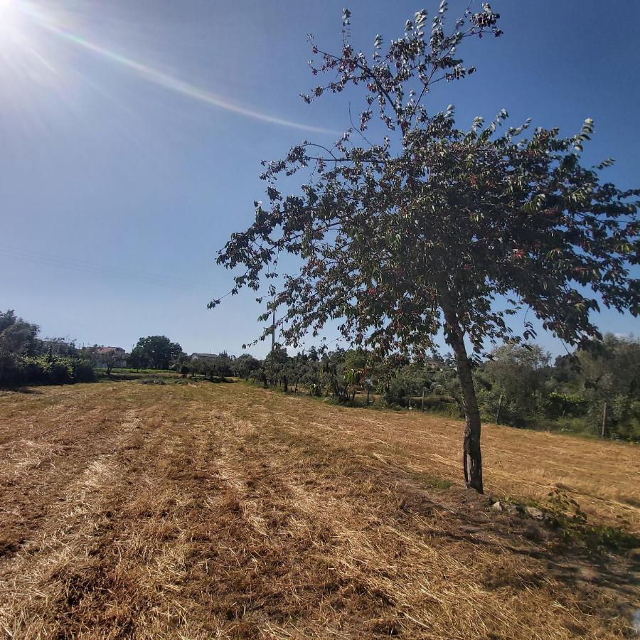 Quinta Jr - Casa De Campo Carregal  Zewnętrze zdjęcie