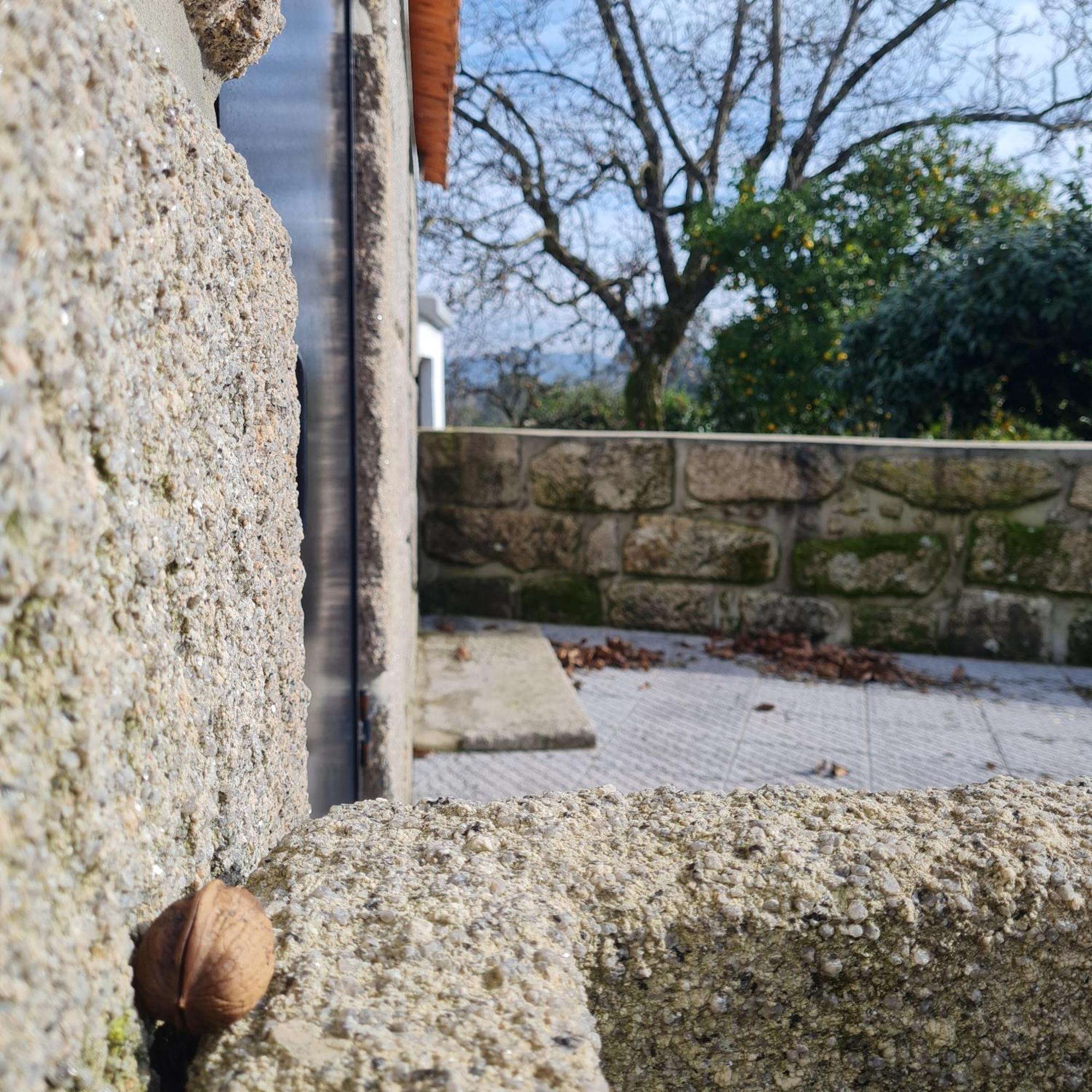 Quinta Jr - Casa De Campo Carregal  Zewnętrze zdjęcie