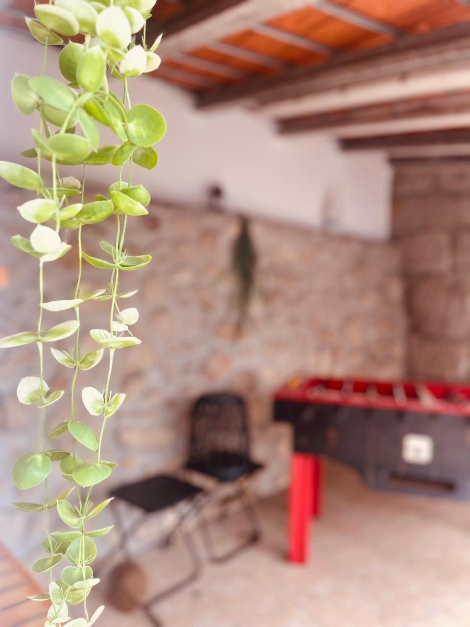 Quinta Jr - Casa De Campo Carregal  Zewnętrze zdjęcie