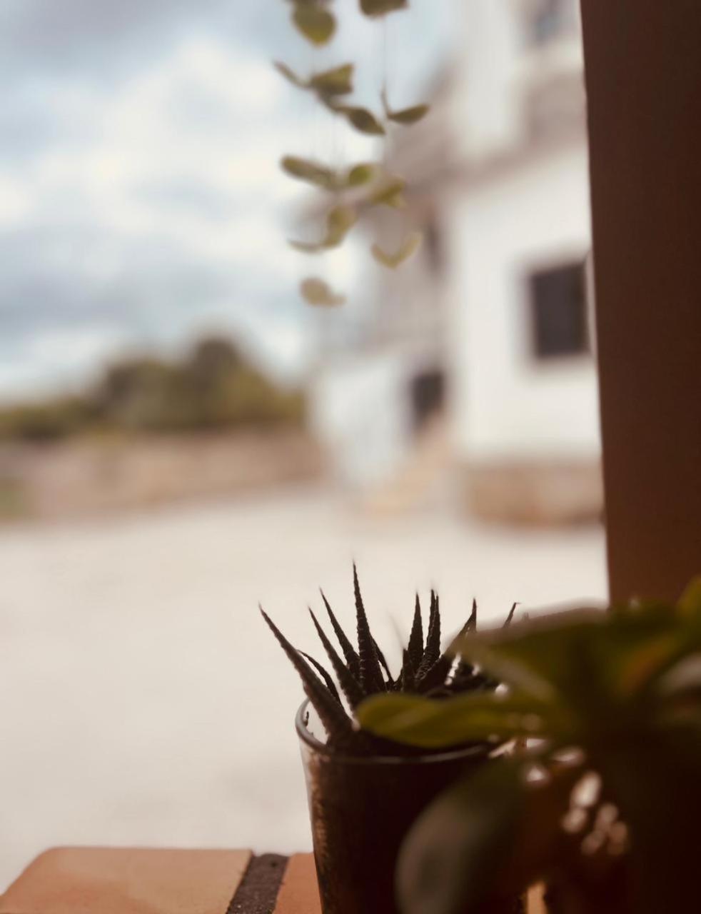 Quinta Jr - Casa De Campo Carregal  Zewnętrze zdjęcie