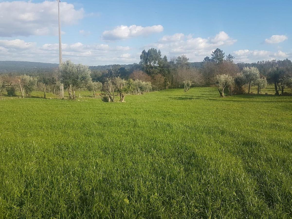 Quinta Jr - Casa De Campo Carregal  Zewnętrze zdjęcie